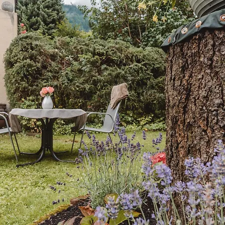 Ferienappartment Brandner-1 By Interhome Apartment Bad Hofgastein